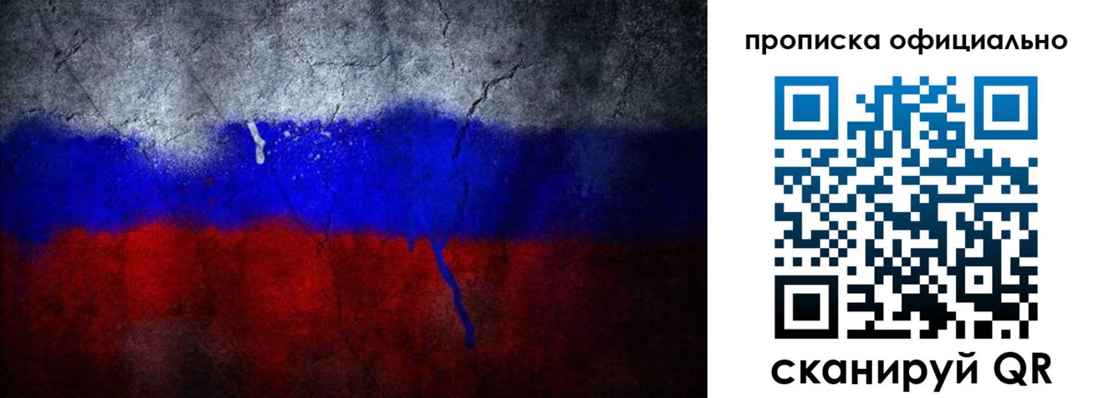 регистрация в Ярославской области